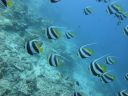DSC00955.JPG