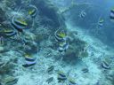 DSC00956.JPG