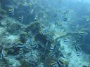 DSC00957.JPG