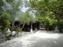 DSC00967.JPG