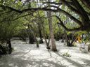 DSC00968.JPG