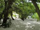 DSC00972.JPG