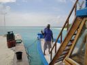 DSC00979.JPG
