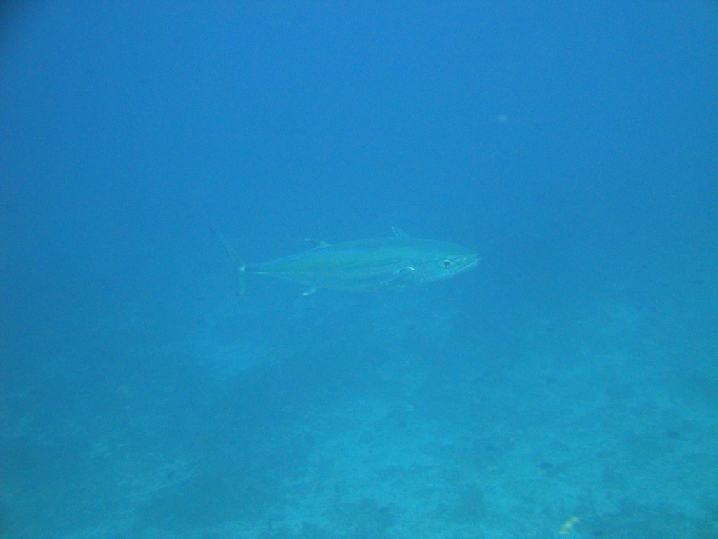 DSC00032.JPG