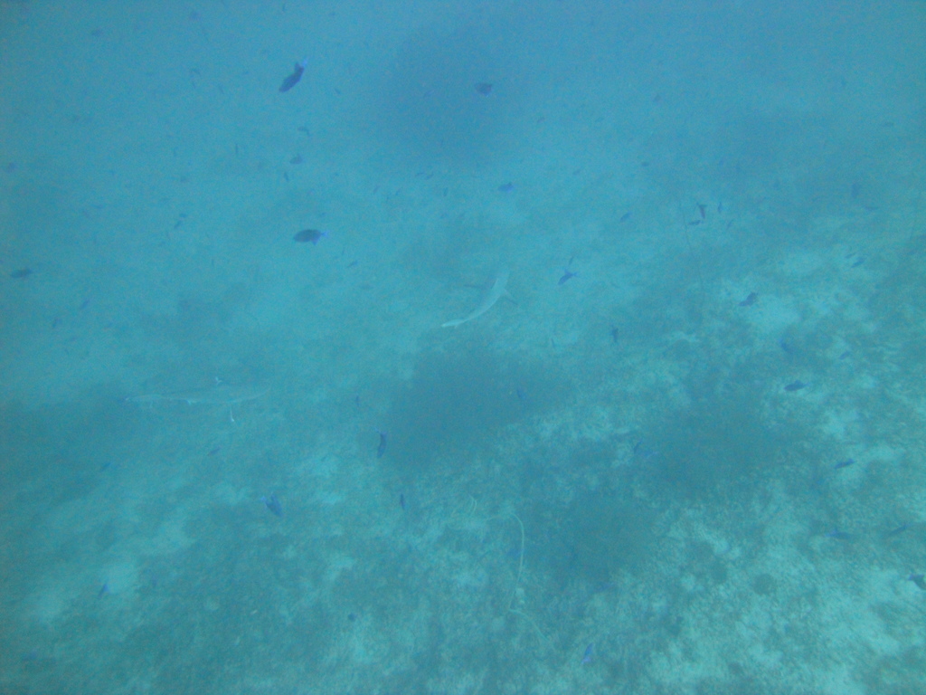 DSC00045.JPG