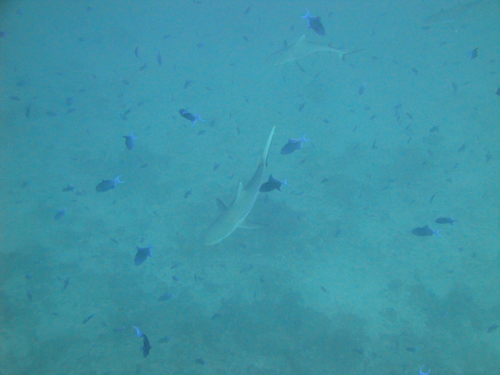 DSC00046.JPG