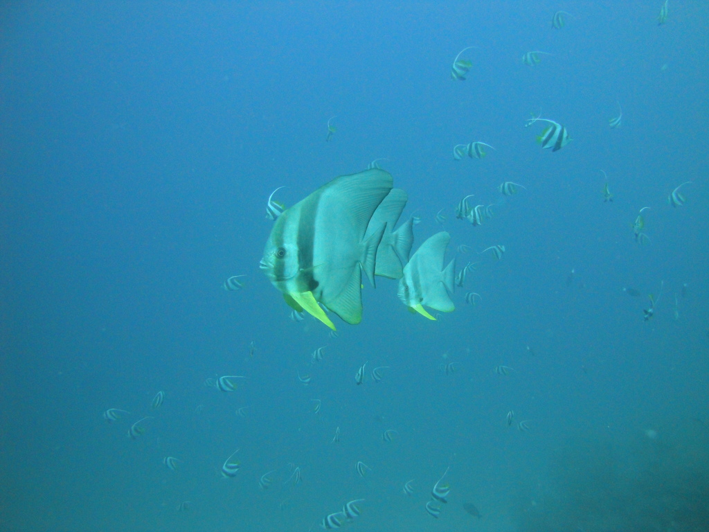 DSC00054.JPG