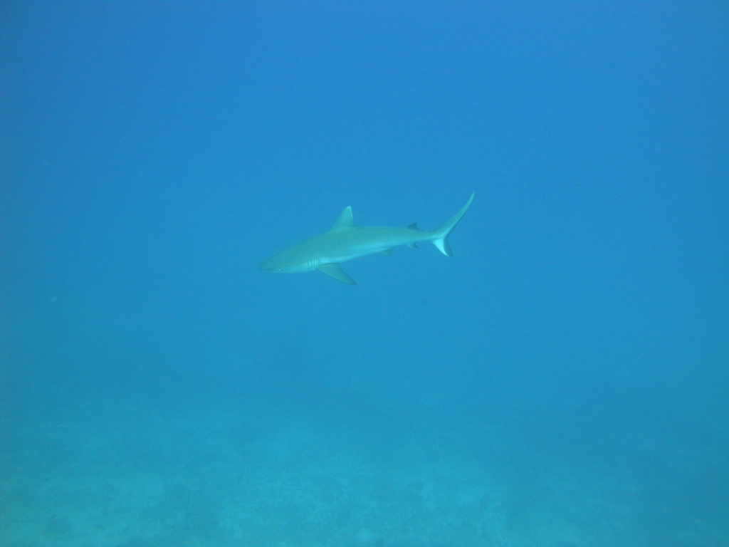 DSC00064.JPG