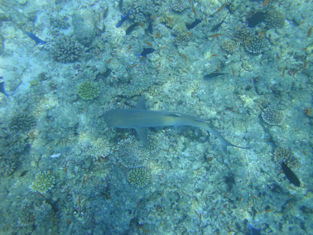 DSC00090.JPG