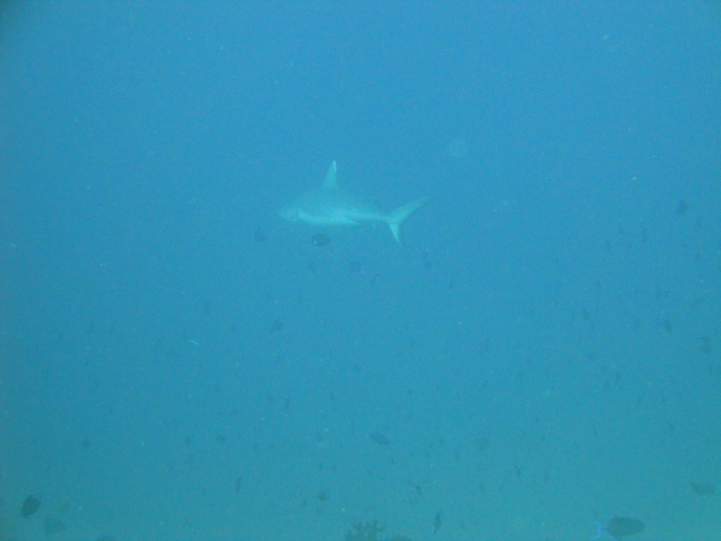 DSC00092.JPG