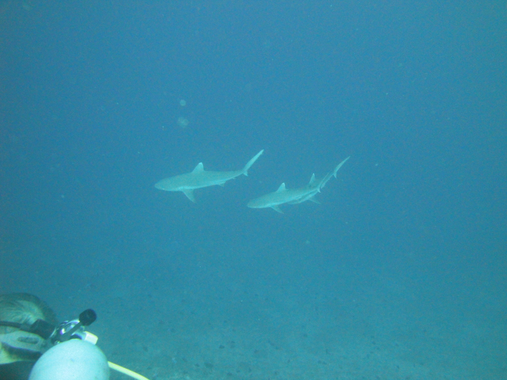 DSC00104.JPG