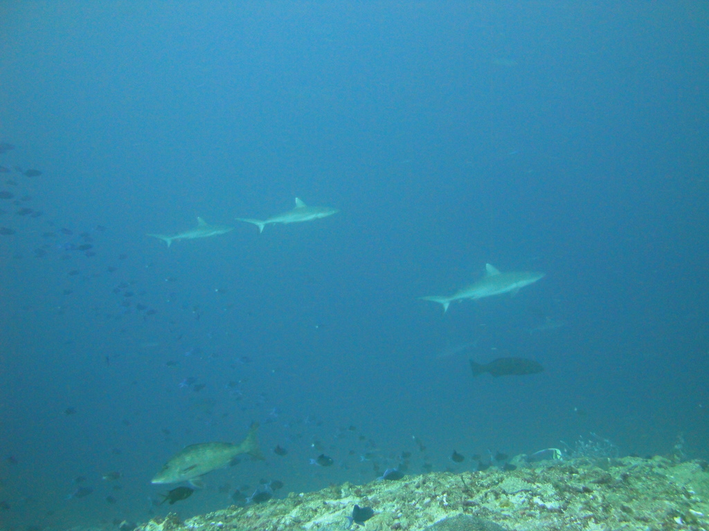 DSC00140.JPG
