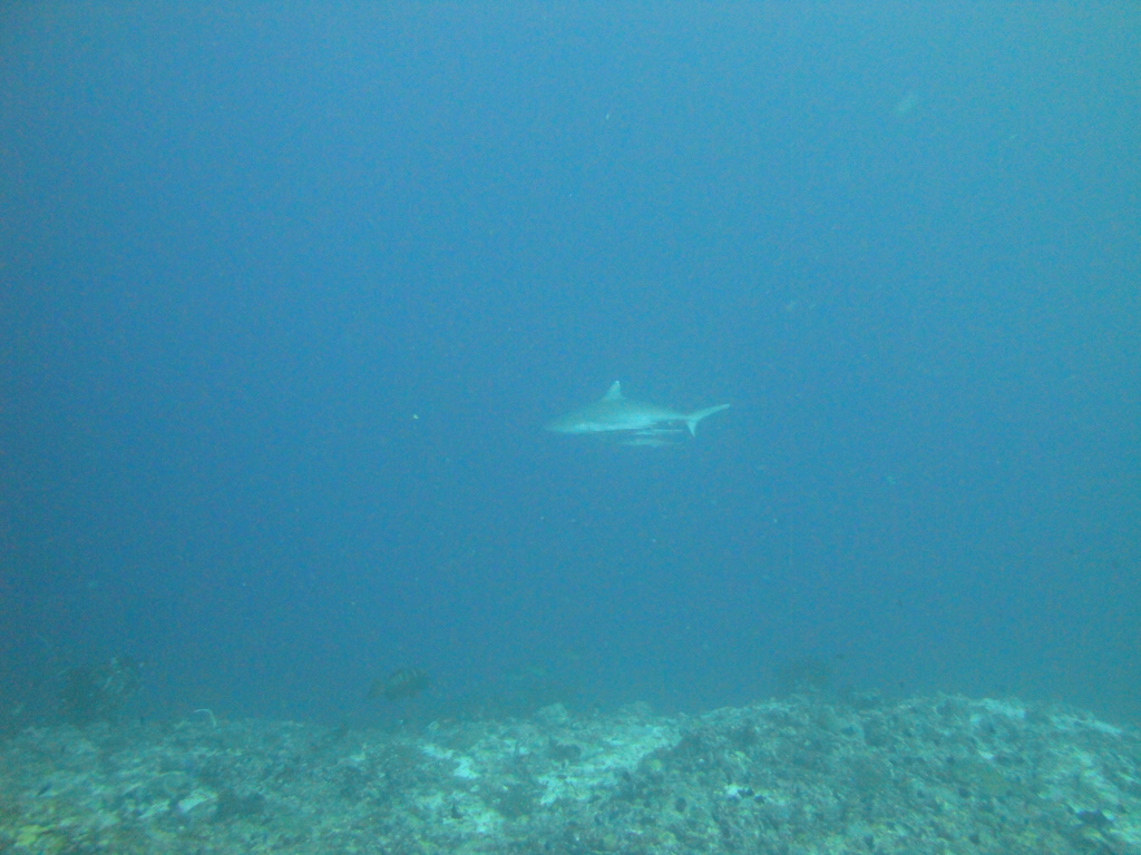 DSC00150.JPG