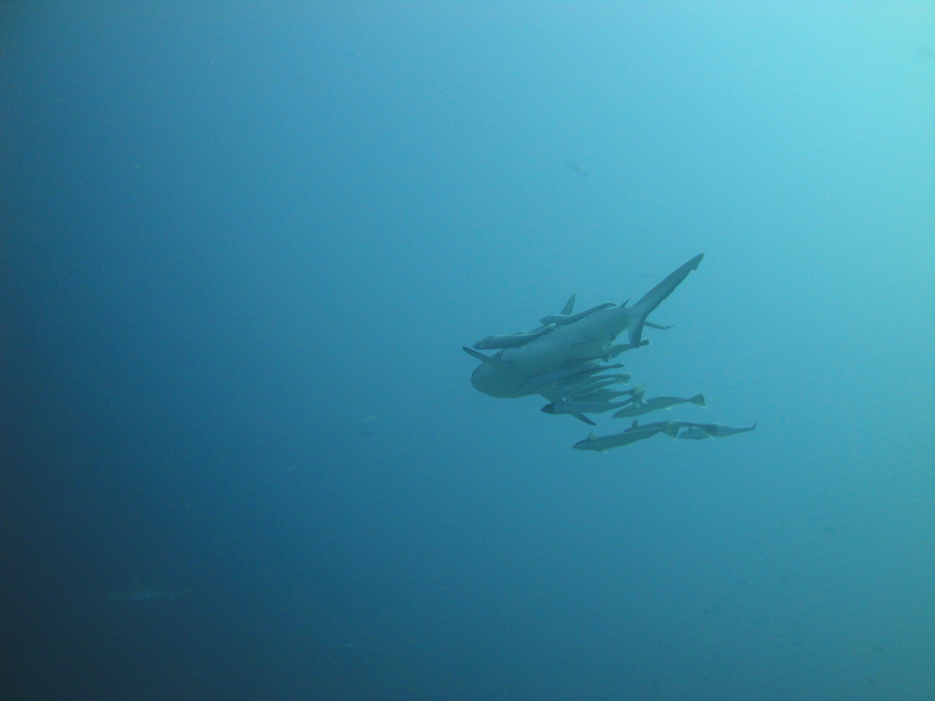 DSC00210.JPG