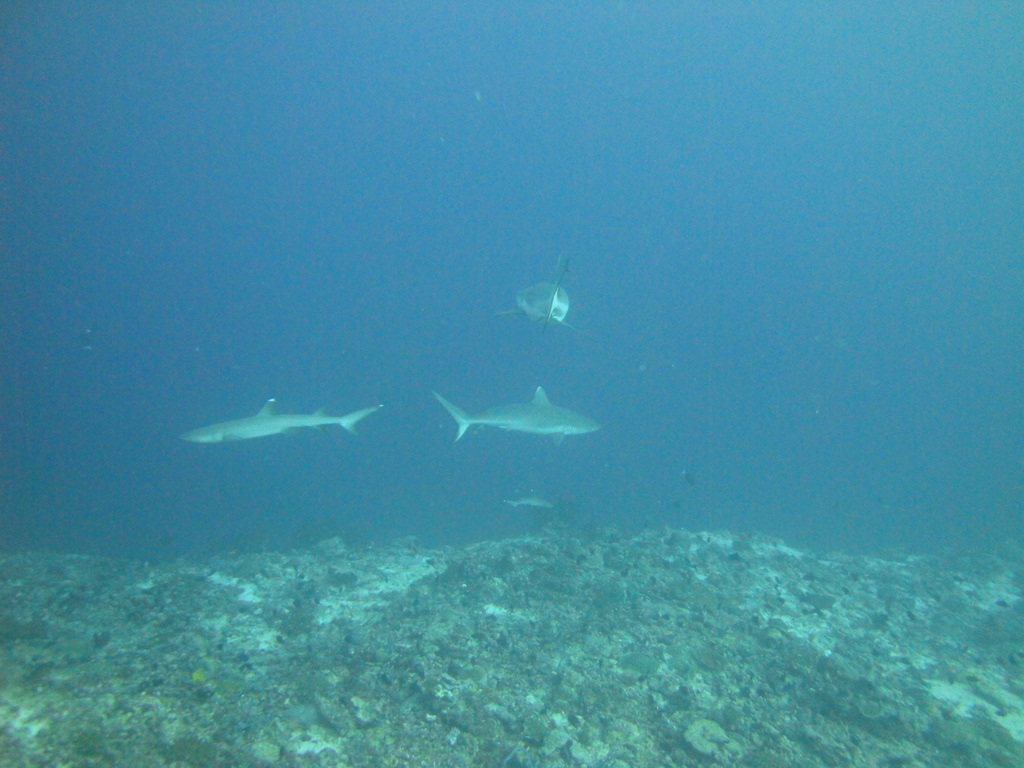DSC00213.JPG