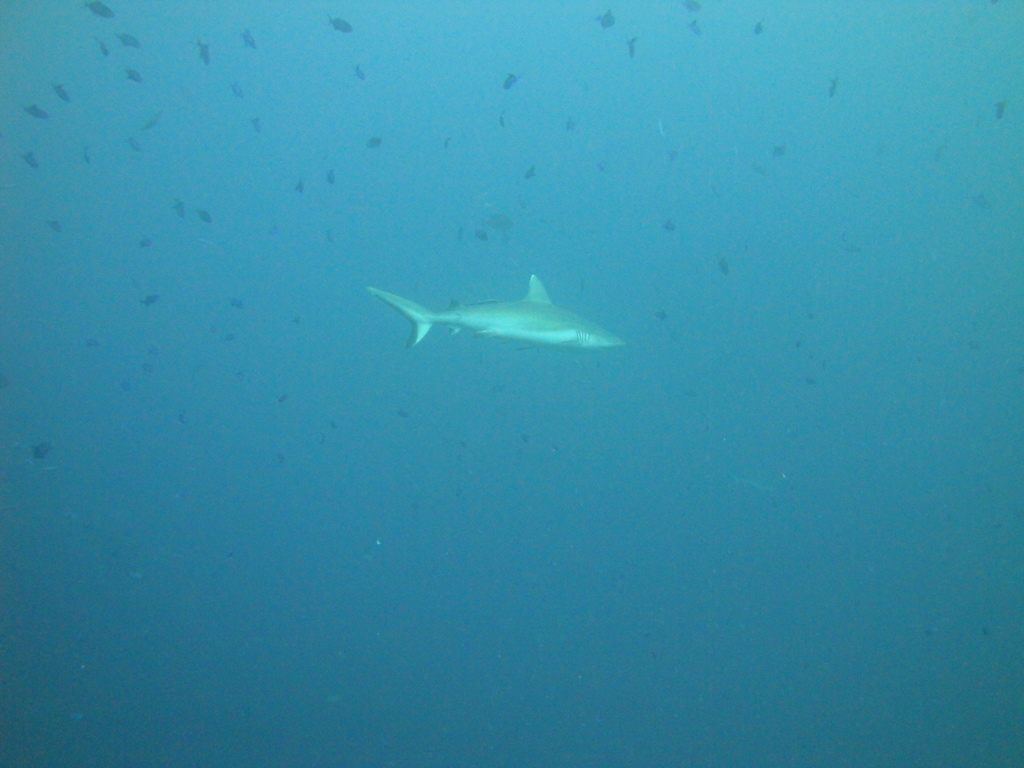 DSC00225.JPG