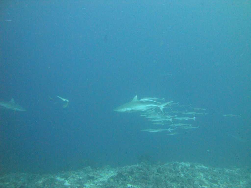 DSC00244.JPG