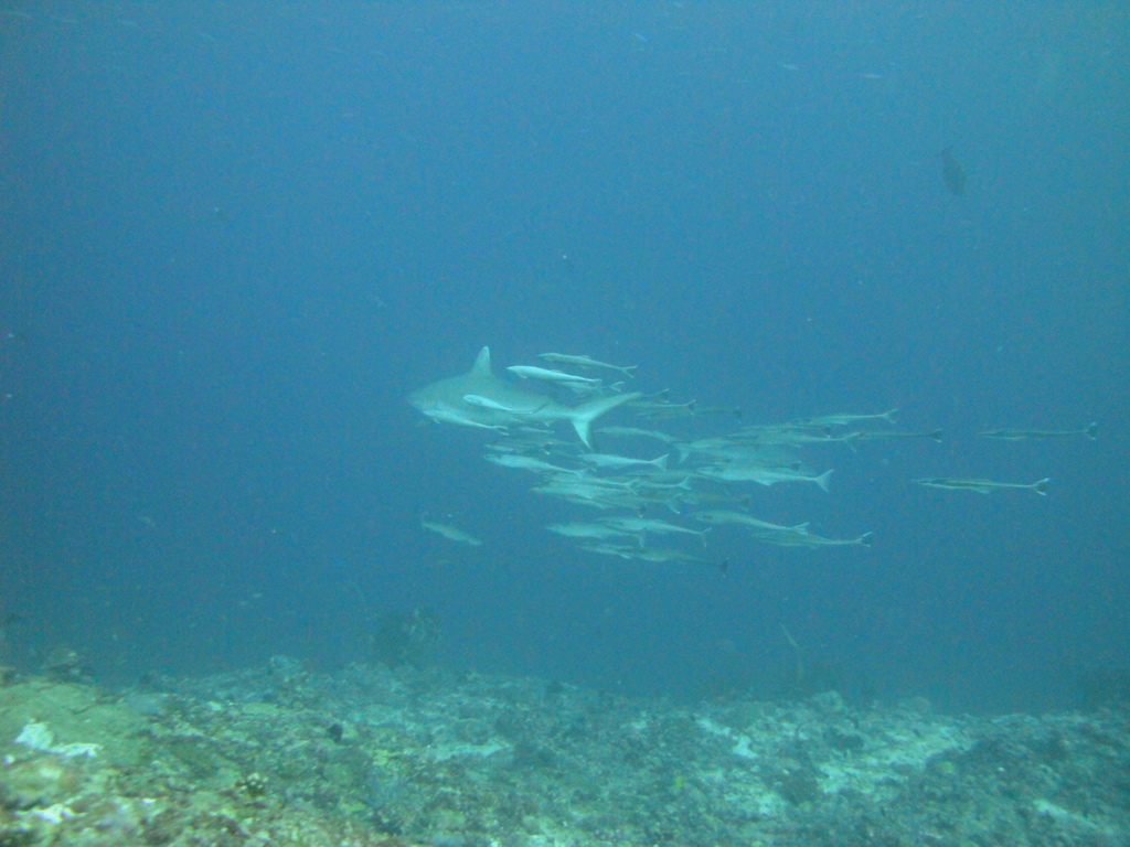 DSC00246.JPG