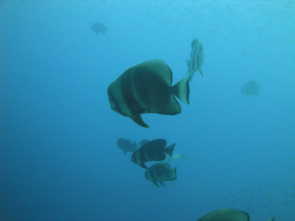 DSC00254.JPG