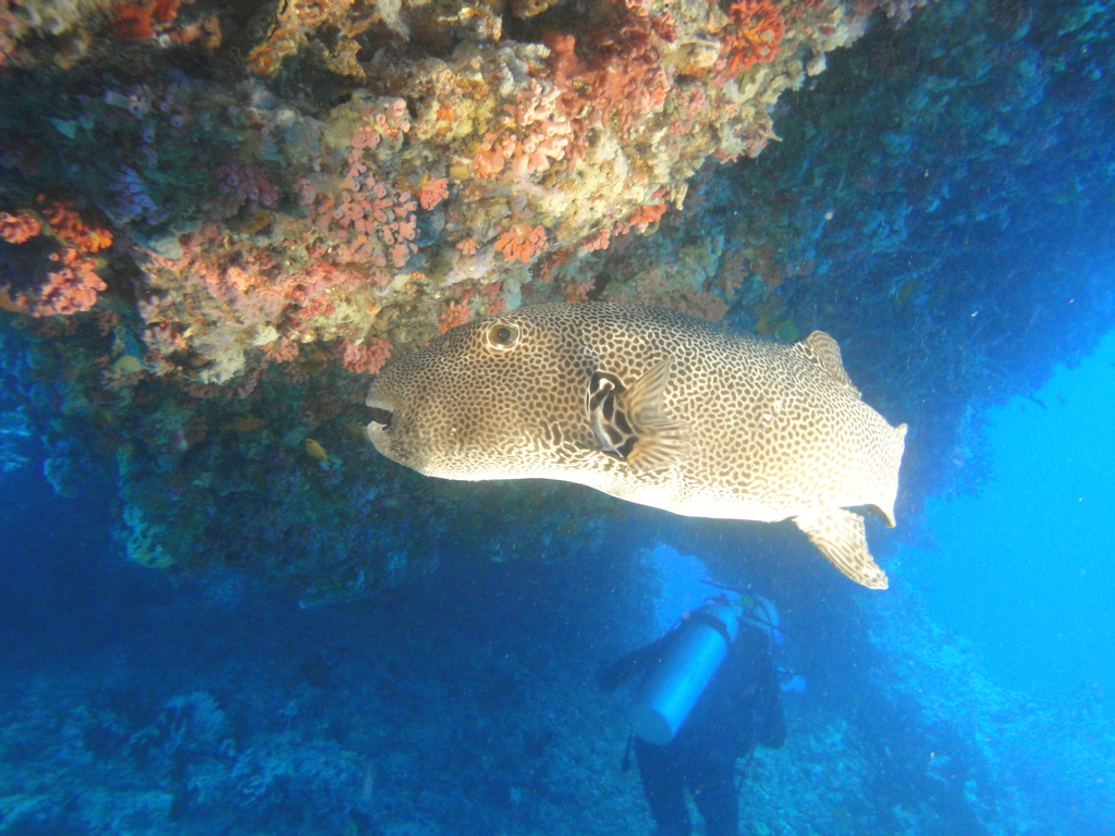 DSC00282.JPG