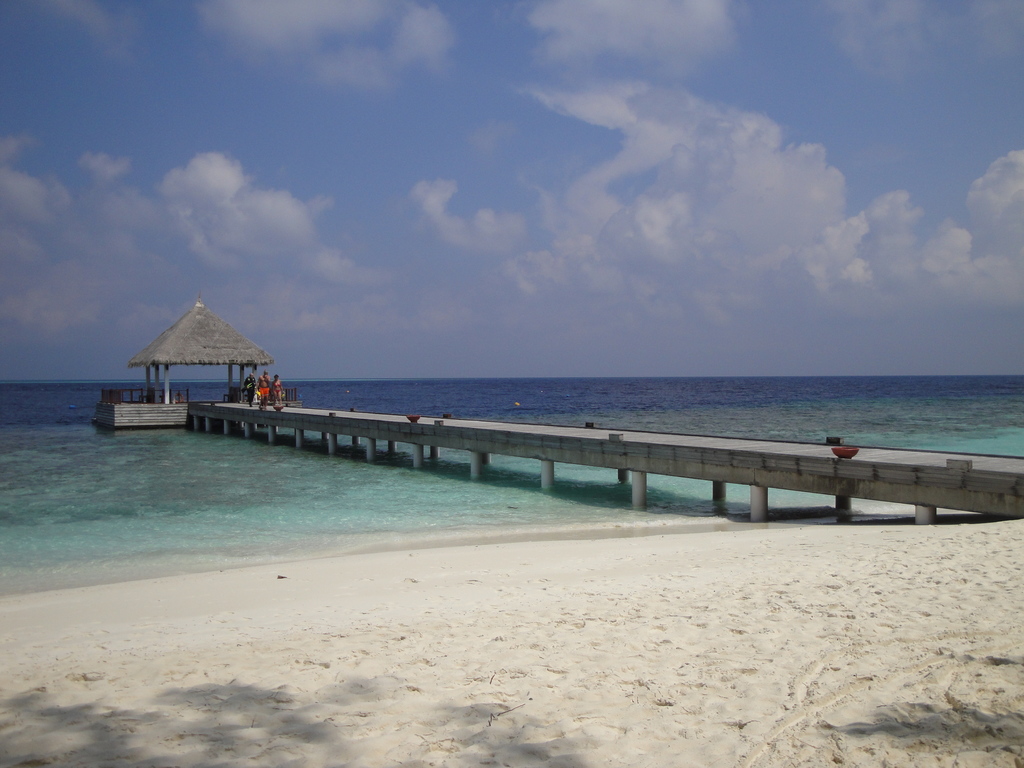 DSC00314.JPG