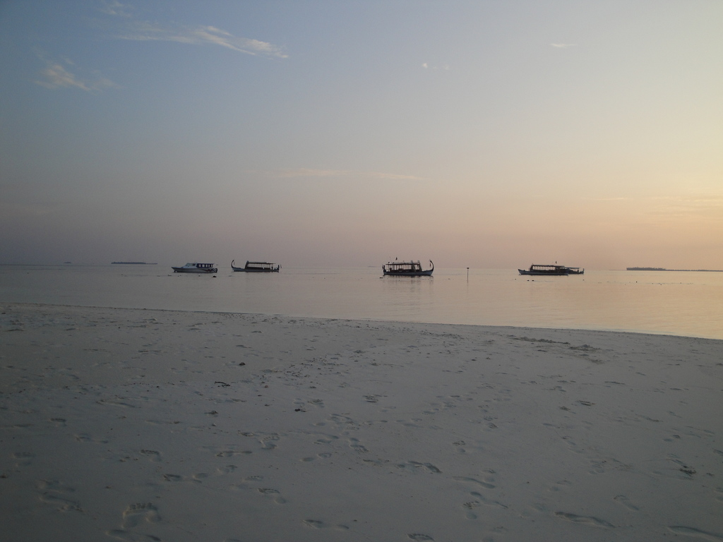 DSC00347.JPG
