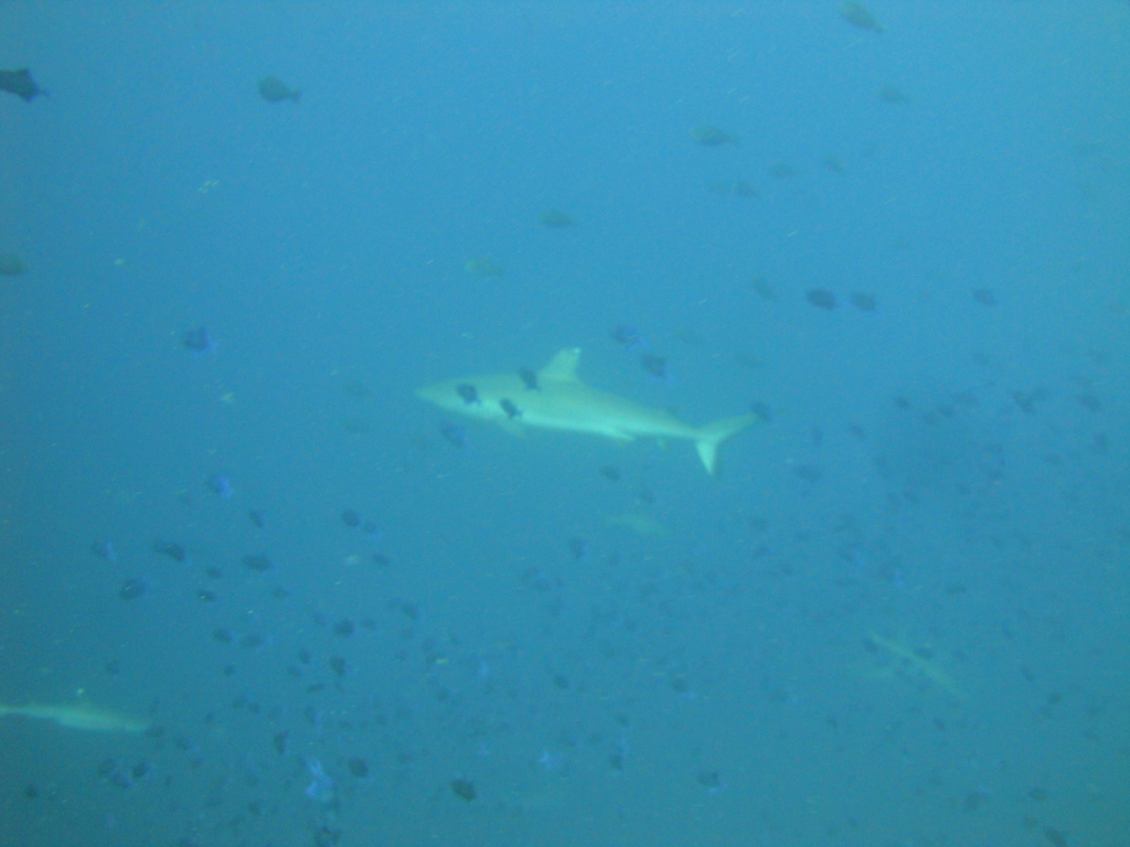 DSC00374.JPG