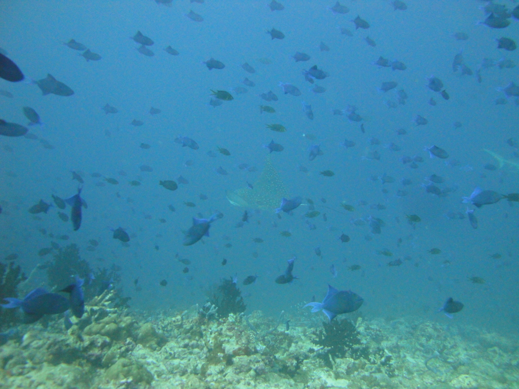 DSC00395.JPG