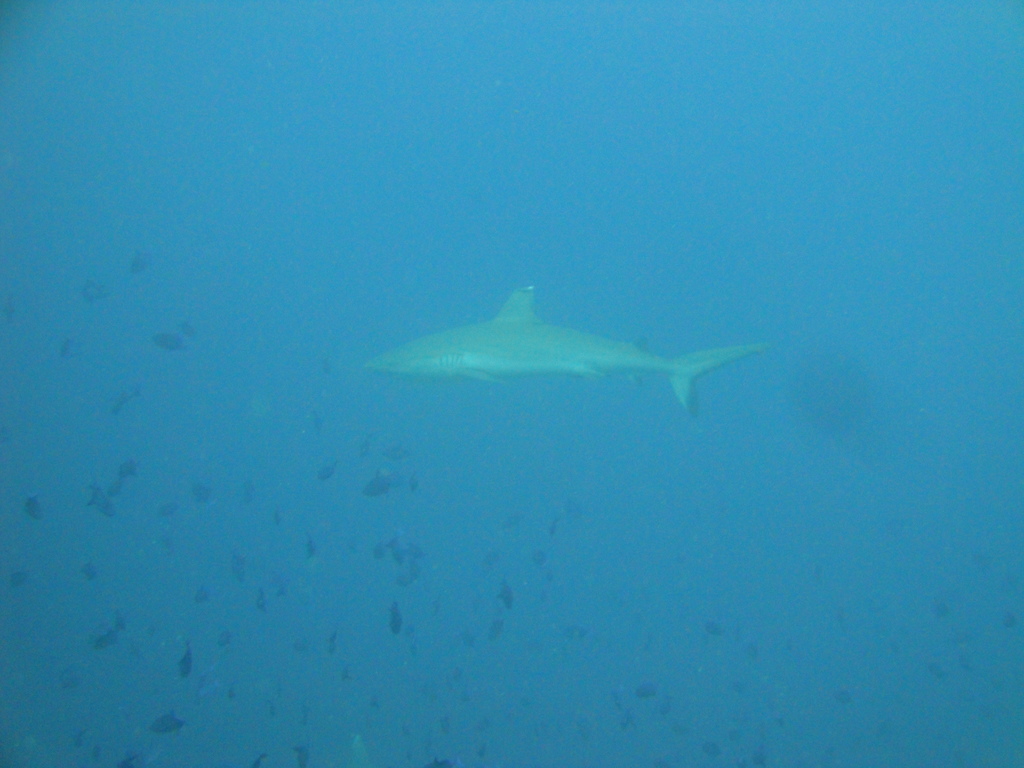 DSC00396.JPG