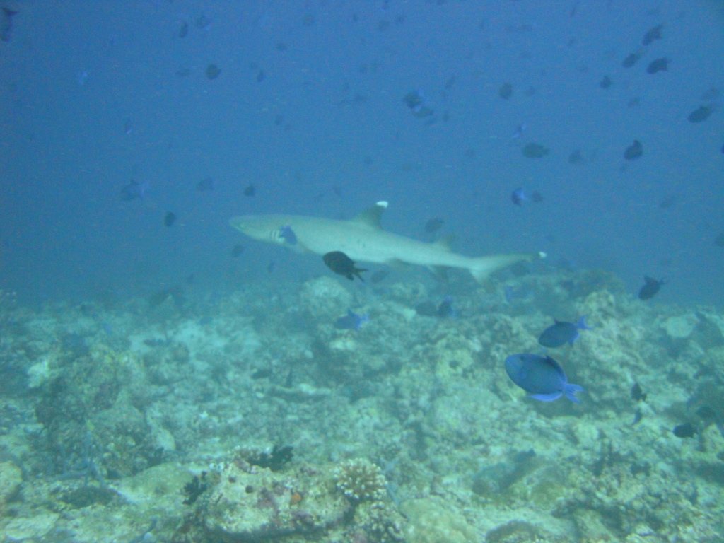 DSC00409.JPG
