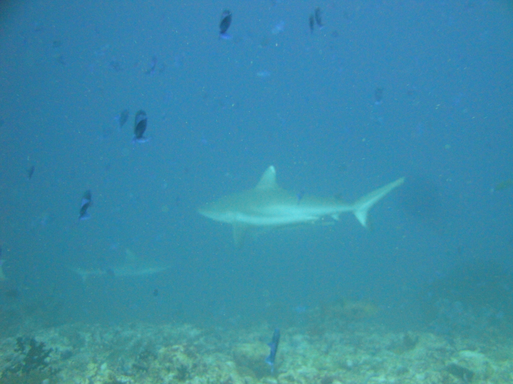 DSC00411.JPG