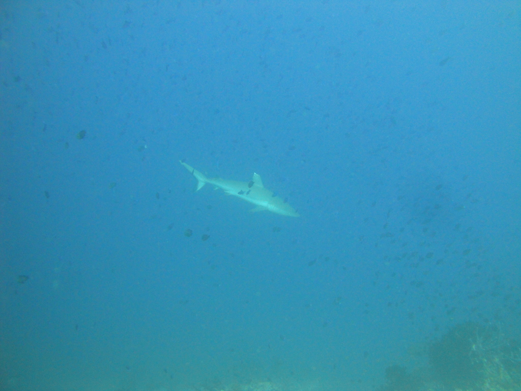 DSC00420.JPG
