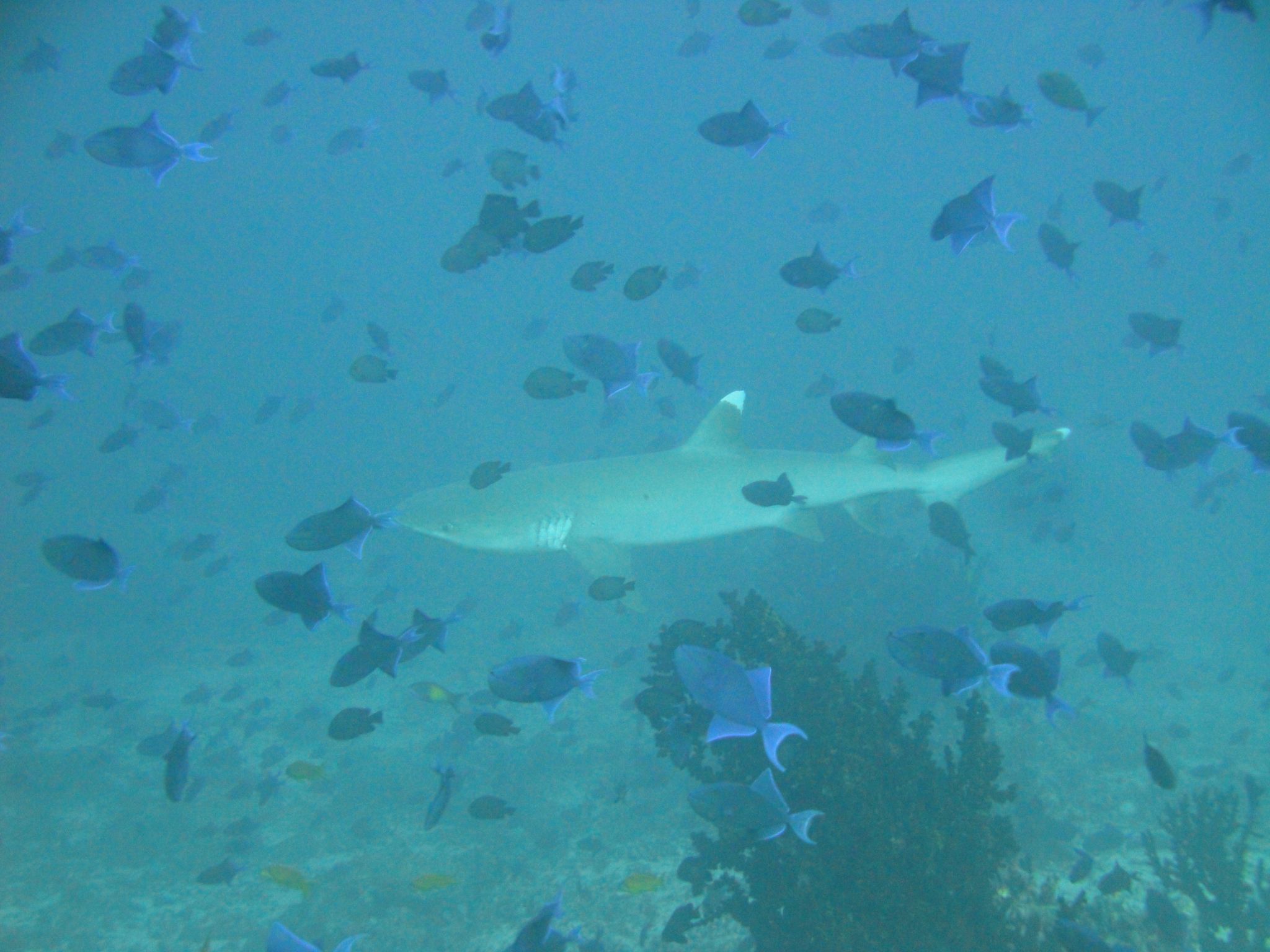DSC00427.JPG