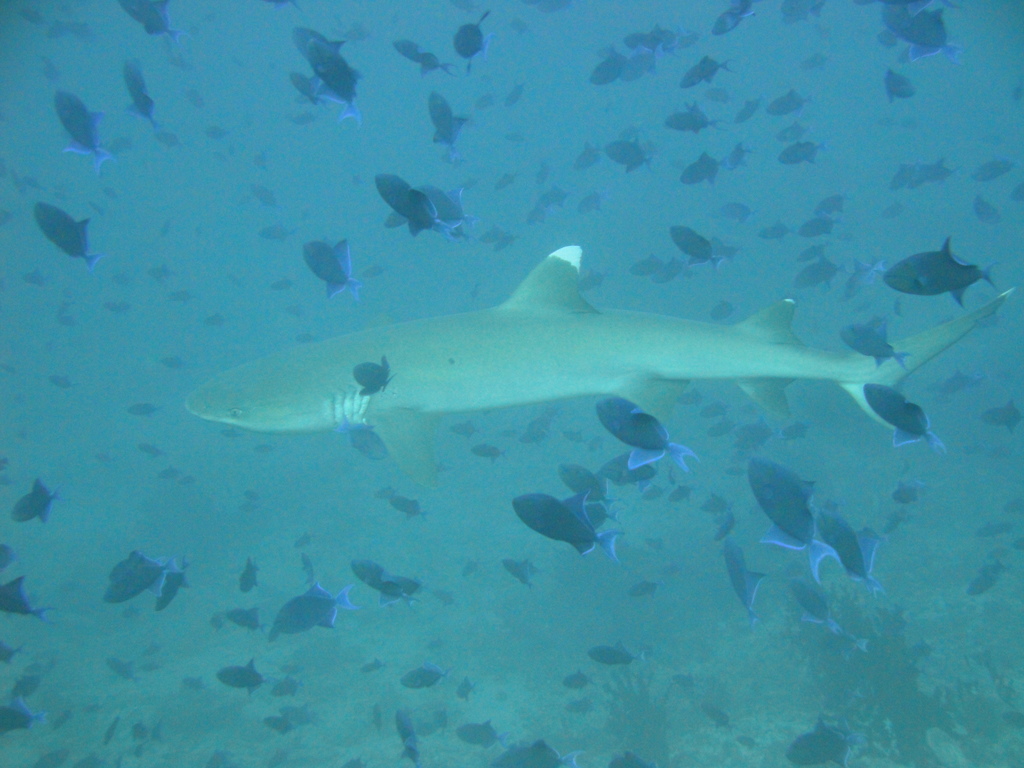 DSC00428.JPG