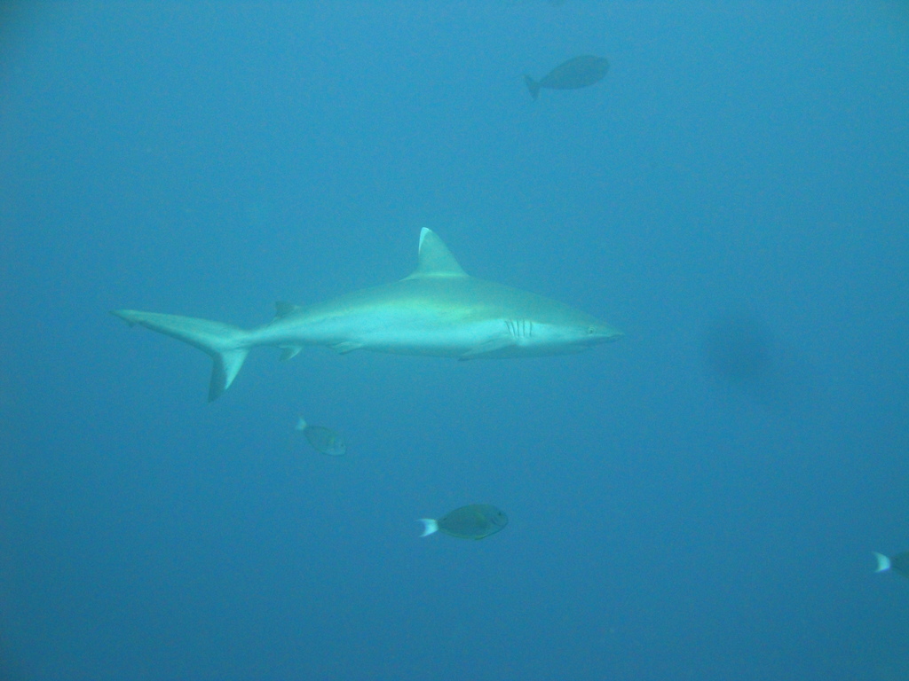 DSC00437.JPG