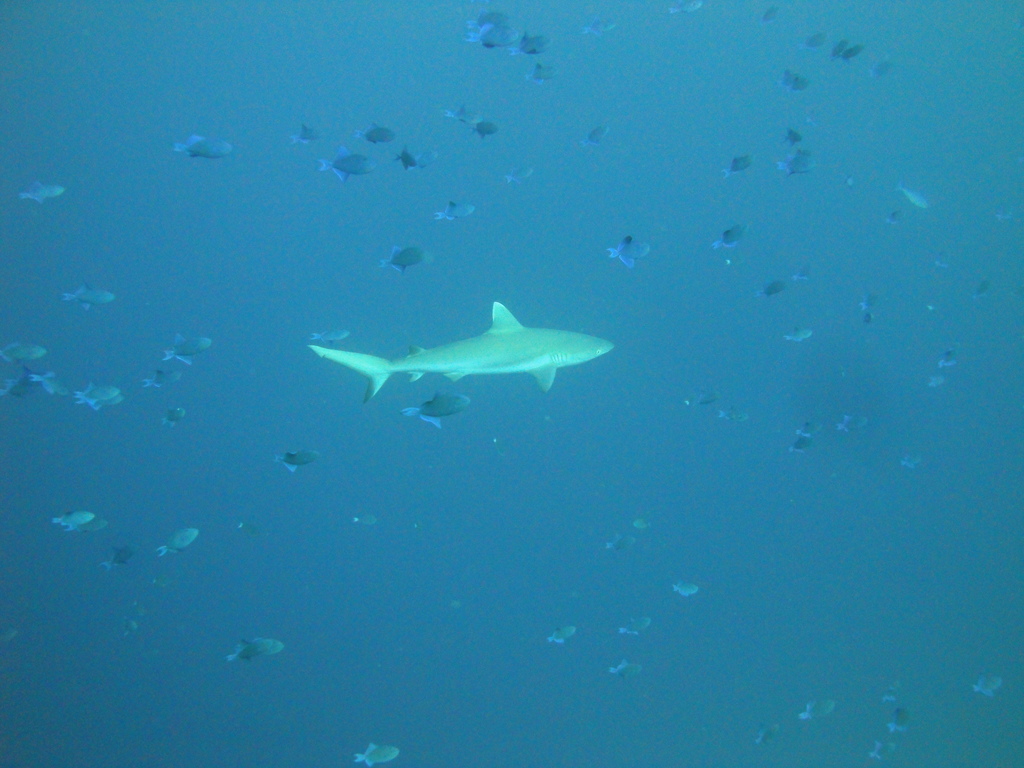 DSC00440.JPG