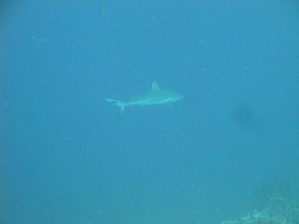 DSC00447.JPG
