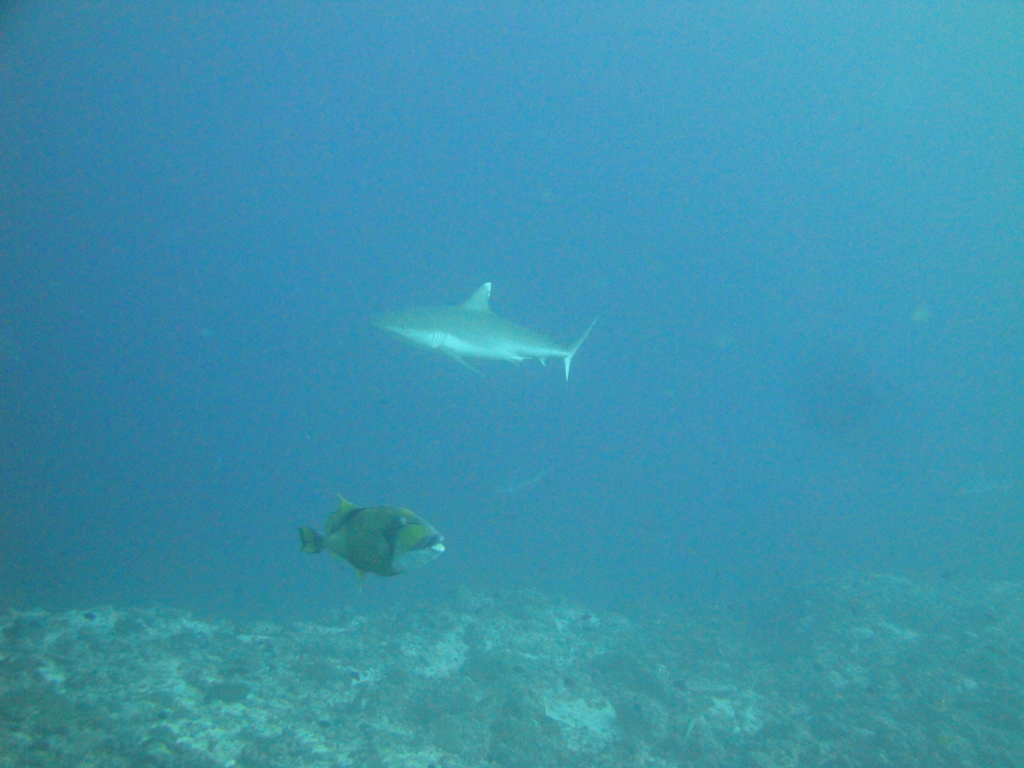 DSC00448.JPG