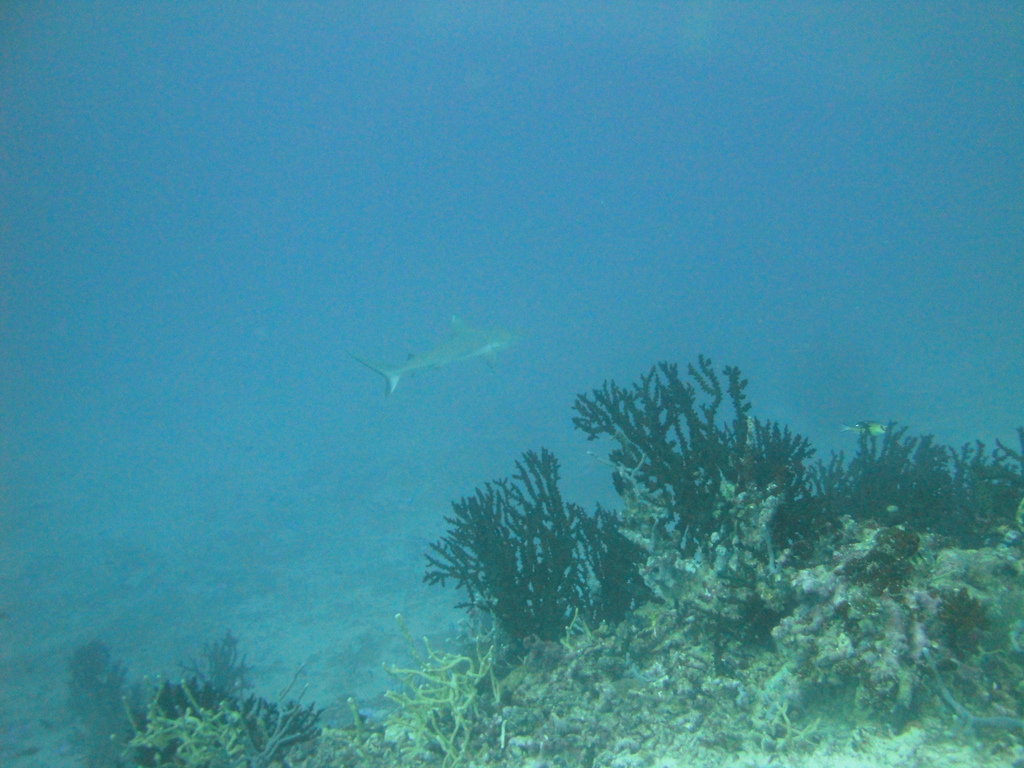 DSC00477.JPG