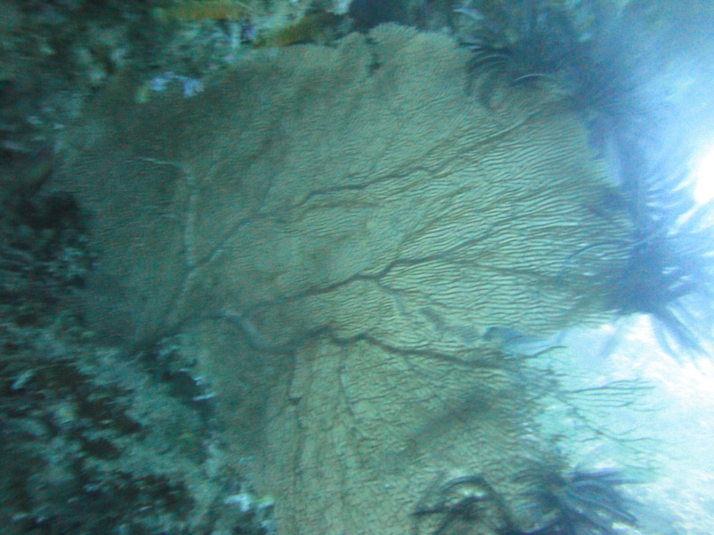 DSC00505.JPG