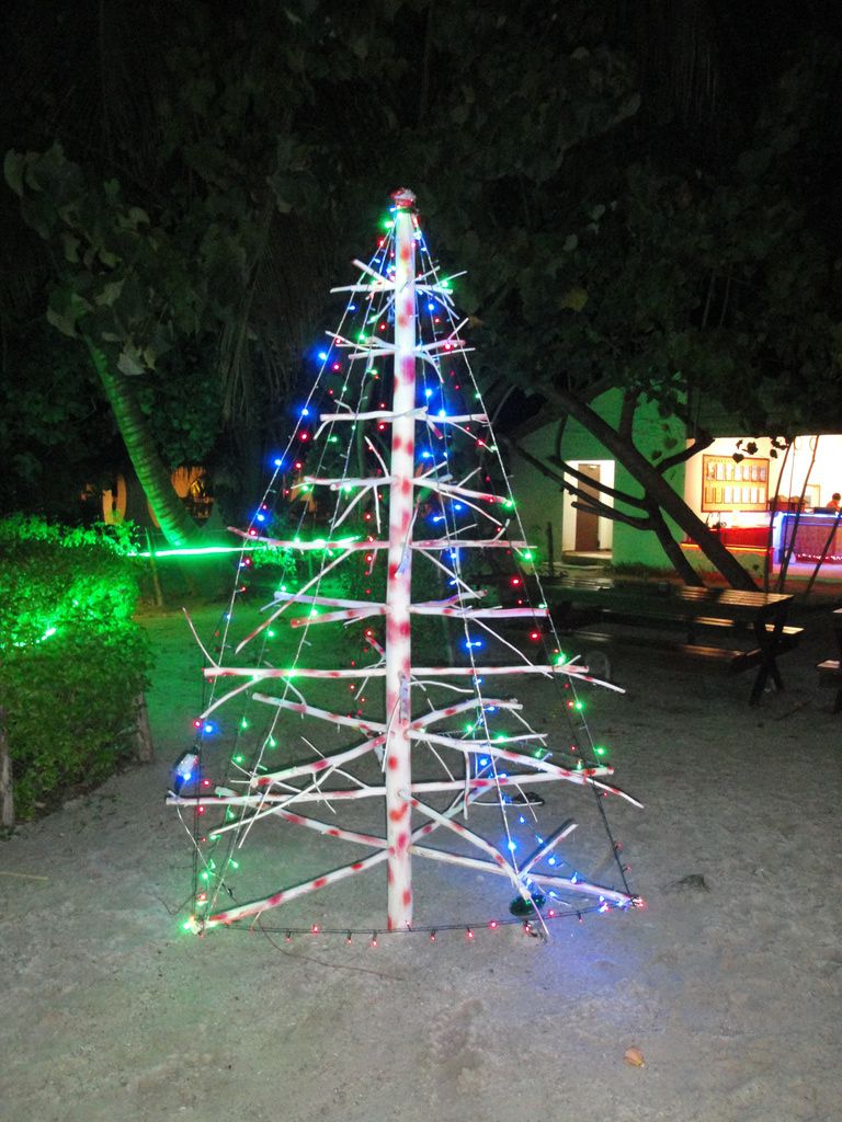 DSC00530.JPG
