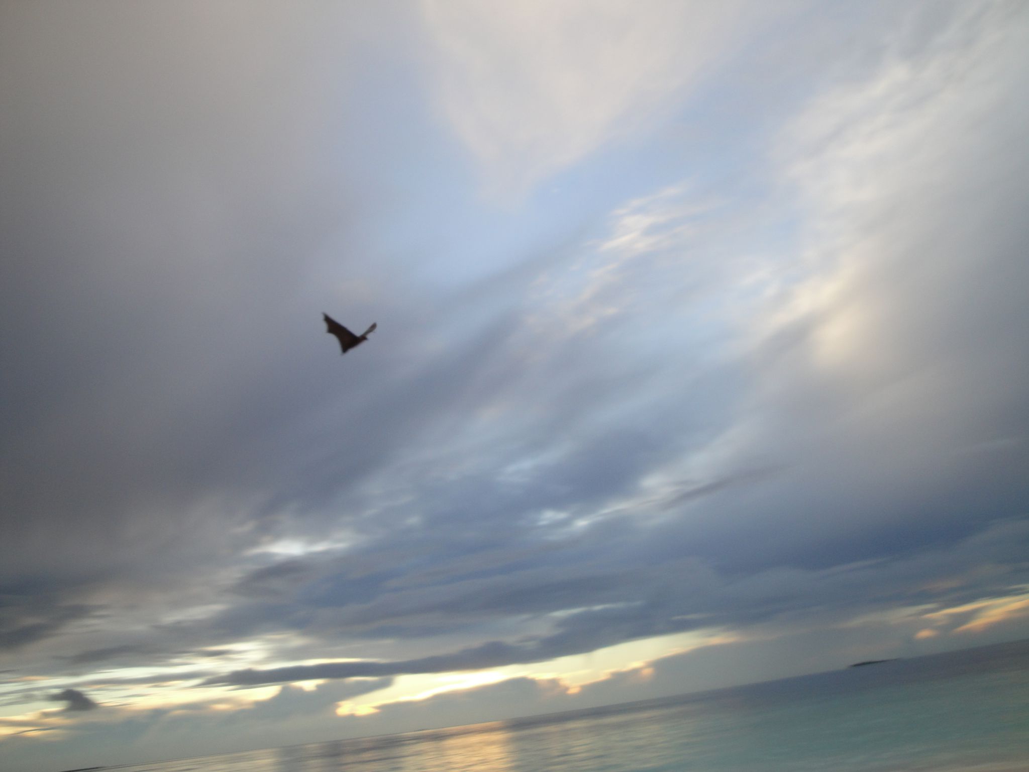 DSC00558.JPG