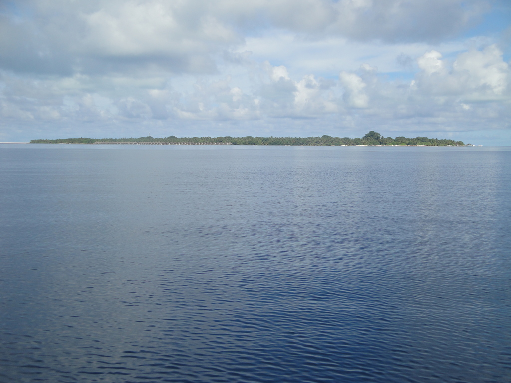 DSC00570.JPG