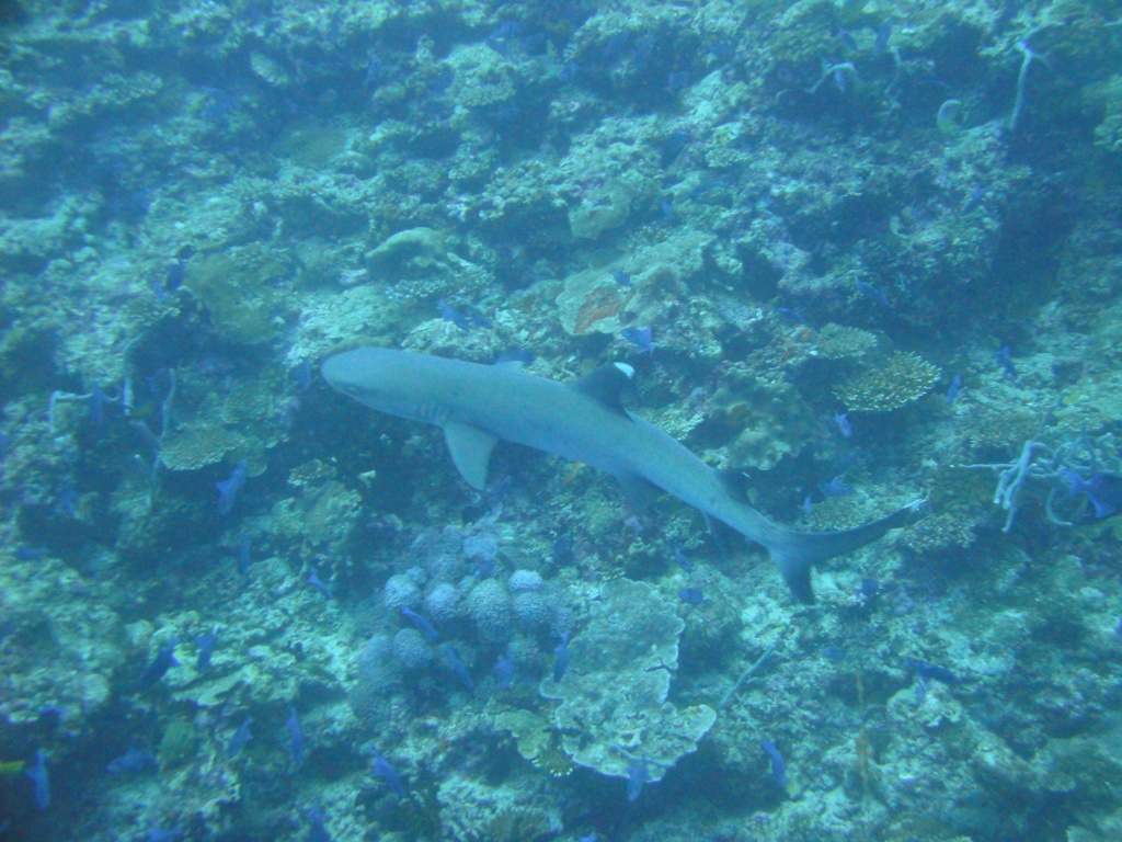 DSC00579.JPG