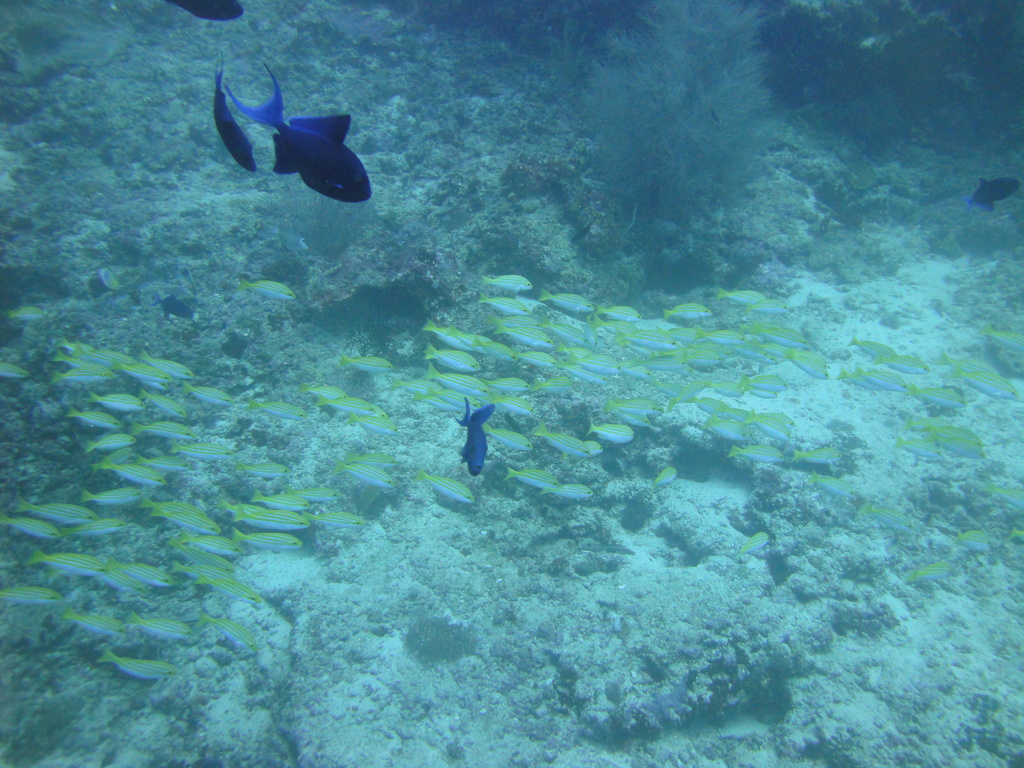 DSC00604.JPG