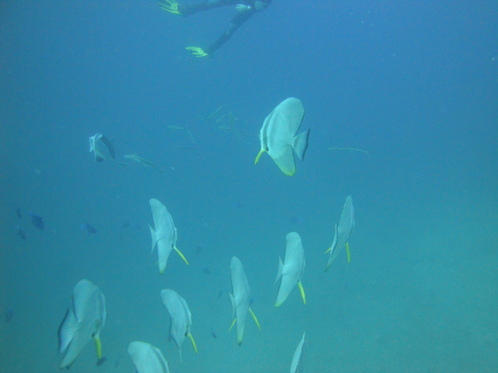 DSC00614.JPG