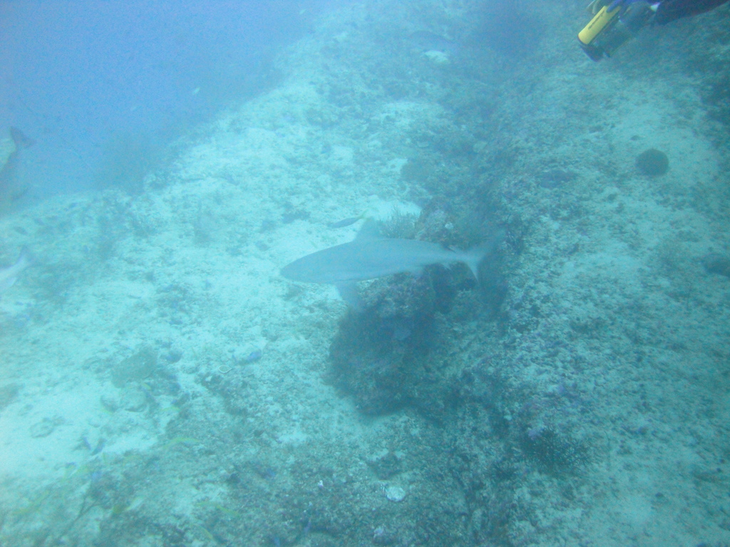 DSC00617.JPG