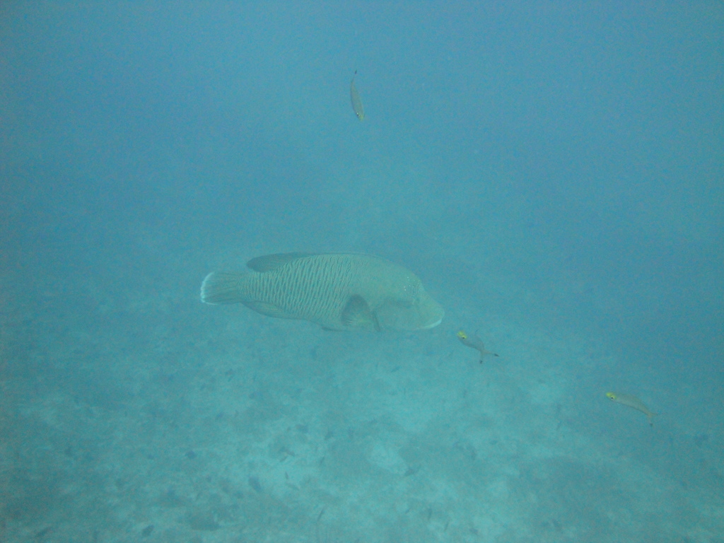 DSC00638.JPG