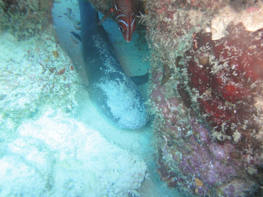 DSC00645.JPG