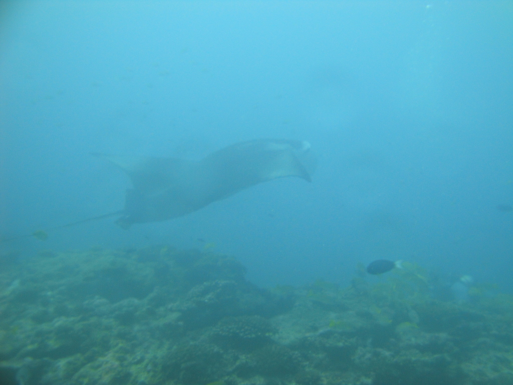 DSC00784.JPG